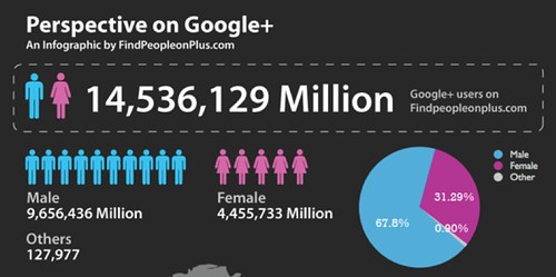 67.8% male, 31.3% female (infographic by FindPeopleOnPlus.com)