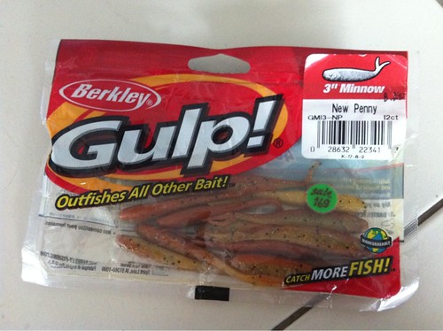 Gulp! @ Game Fish Shop2