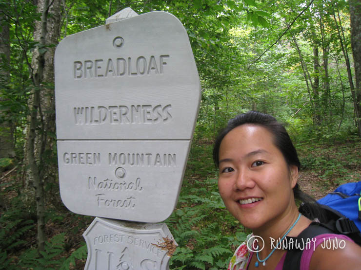 Breadloaf Wilderness, Green mountains of Vermont
