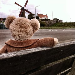 #Bear found the Dutch windmills fascinating & spent hours waiting for the wings to turn