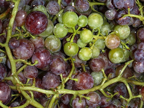 grapes_02
