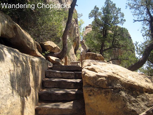 11 Cliff Palace - Mesa Verde National Park - Colorado 9