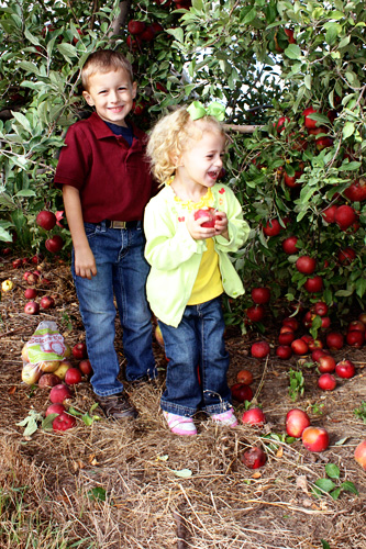 Kids-under-tree-apples-galore