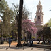 Plaza 9 de Julio con Cattedrale (Salta)