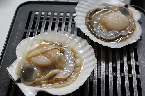 Scallops the fisherman who hosted me 雄武町の漁師さんが朝取ってきたホタテ