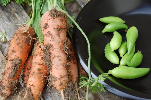 carrots and achocha