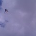 lone kite
