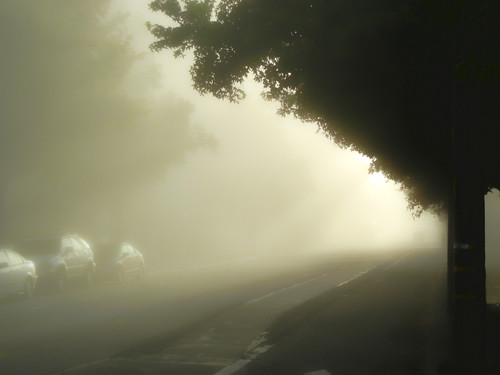 Morning Fog 4732 HDR _ 500