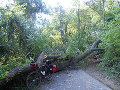 Bike Commute 93: Hurricane Irene Is No Match for My Sequoia by Rootchopper