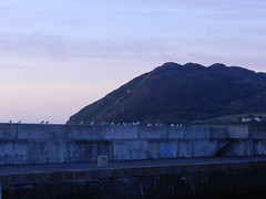 Another early morning in Bray harbour