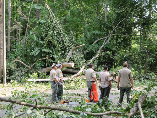 Park Staff clear trees and debris off the main entrance to the park.