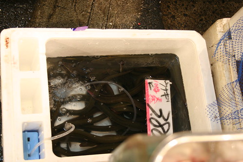 Fishmonger was throwing eels into this box
