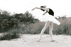 Ballet 17