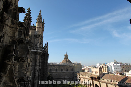 seville cathedral and city