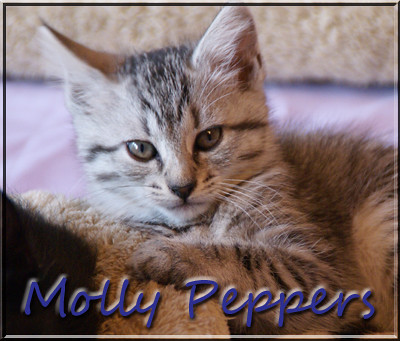 m-peppers