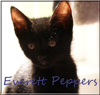 e-peppers