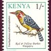 kenya-birds-1-350