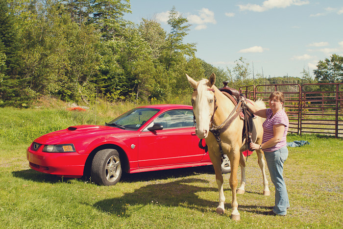 Halifax NS Wedding Portrait Horse Equine photography - Splash & Donna - Nicole Payzant -  (20 of 26)