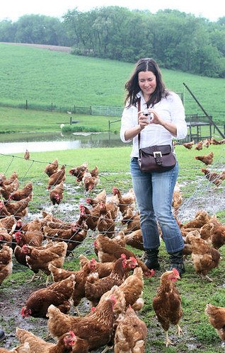 Capturing the Nature's Yoke hens on video