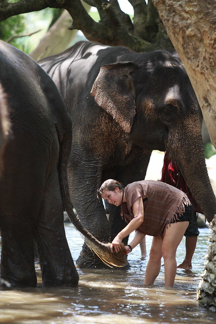 ¡TAILANDIA EN CHANCLETAS! - Blogs de Tailandia - Patara Elephant Farm (16)