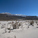 Sabbia ed ancora sabbia verso Laguna Blanca