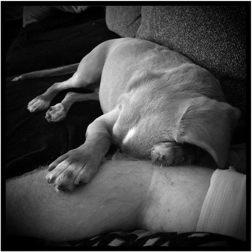 The little guy, starting to fall asleep against my arm by BroAndDonna