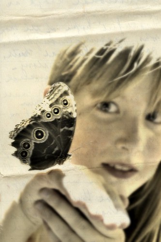 butterfly by ellajohn