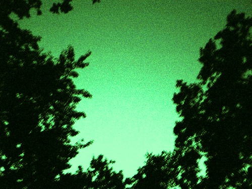 nachthimmel grün