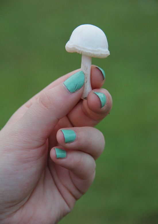 blog lovelymissmegs megan mushroom