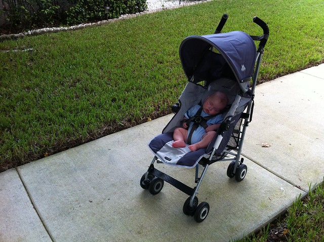 First time out in his big boy stroller.