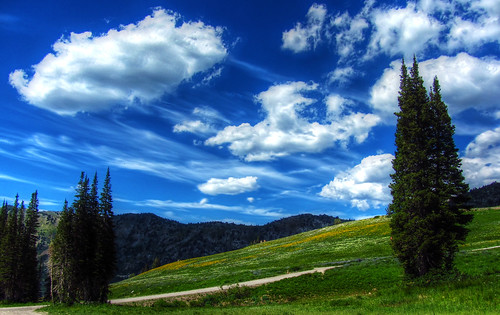 フリー写真素材|自然・風景|丘|樹木|空|雲|アメリカ合衆国|