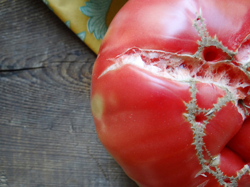 heirloom tomato bruschetta