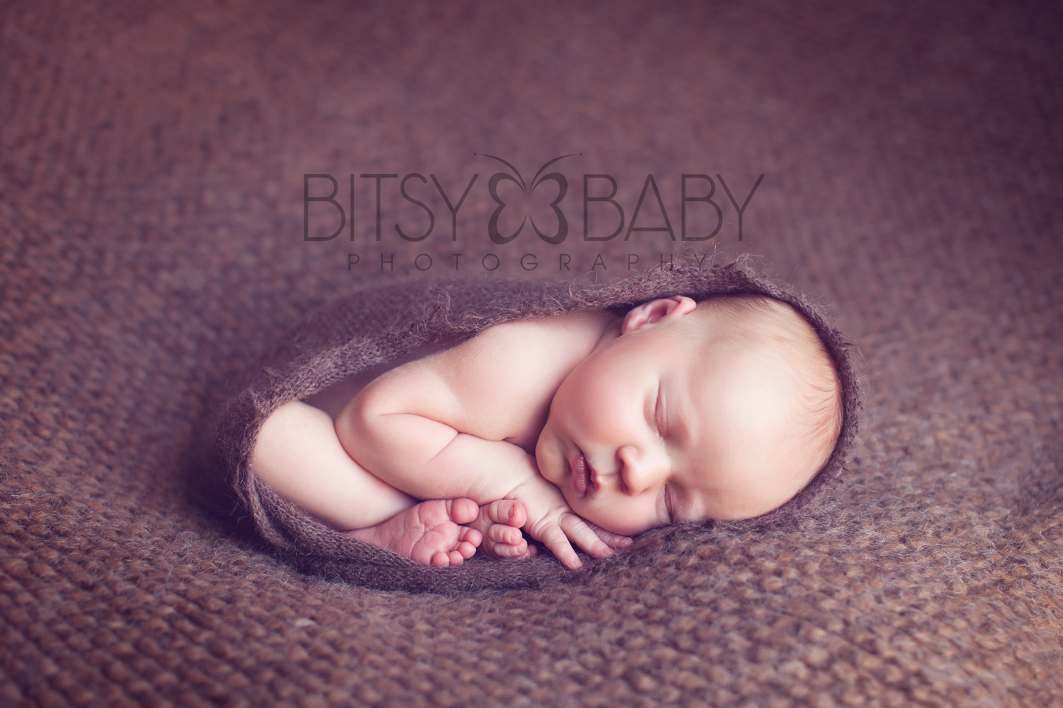 newborn photographers_curled2