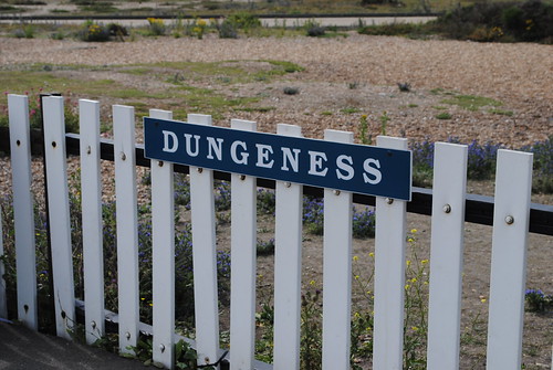 Dungeness - the weirdest (but wonderful!) place on Earth