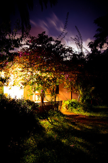 Noche en el Jardín I