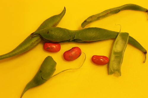 Peas - or beans? (54)