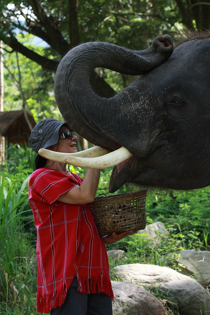 ¡TAILANDIA EN CHANCLETAS! - Blogs de Tailandia - Patara Elephant Farm (7)