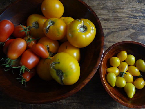 2011.08_garden tomato harvest