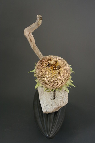 Ikebana with driftwood and sunflower
