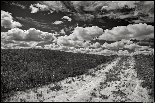 Little Dirt Road by Christian Stepien.com