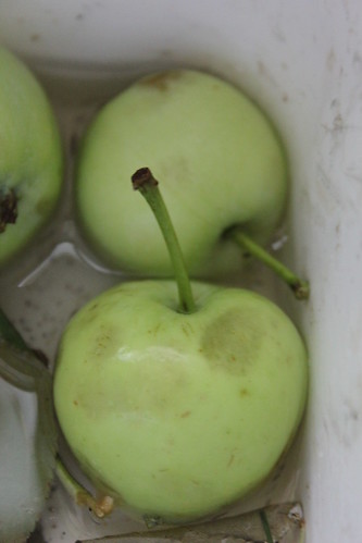 Bruised apples