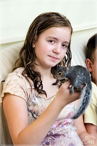 Baby Squirrels 9-3-11 08
