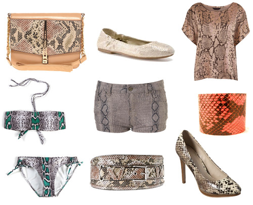 wpid-Snake-print-clothes-and-accessories