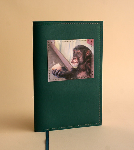 Chimp Notebook
