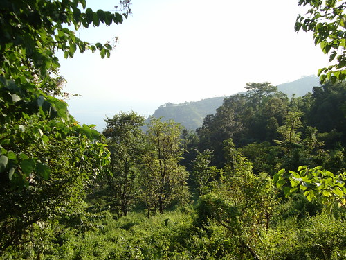Roadside view on the way to Darjeeling 