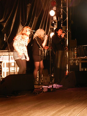 Natty Wailer gig at Bray Summerfest 2011