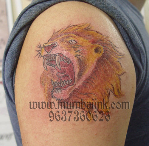 I could teach my cat this as it concerns leo lion tattoo designs