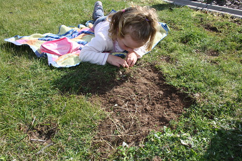 digging for worms