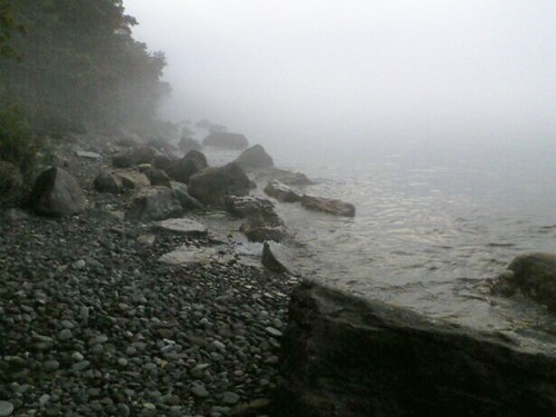 foggy lake 2