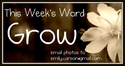 This Week's Word, Grow